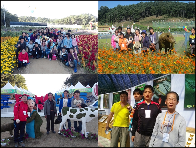 청원생명축제 관람하는 모습